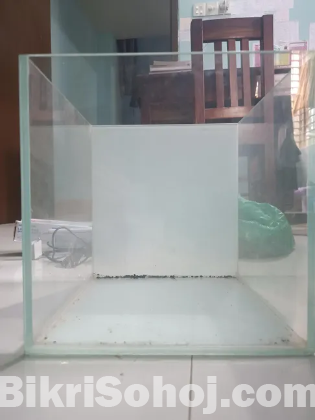 10qube fish tank